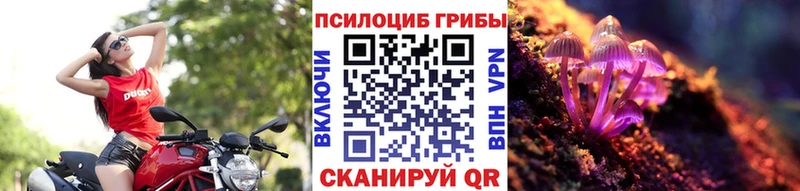 Купить где  Нытва  Псилоцибиновые грибы мицелий 